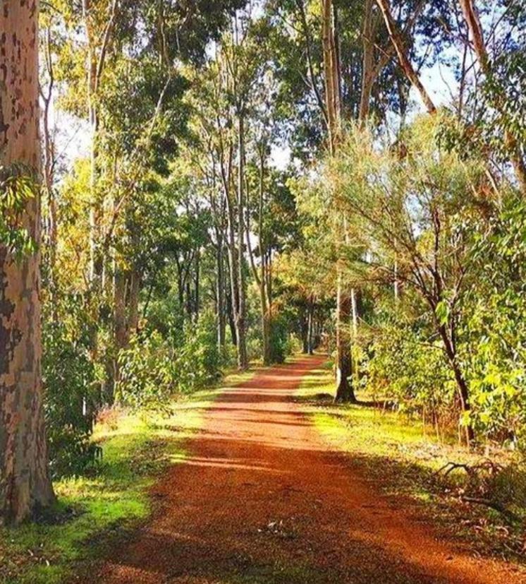 Mahogany Inn And Distillery Mahogany Creek Esterno foto