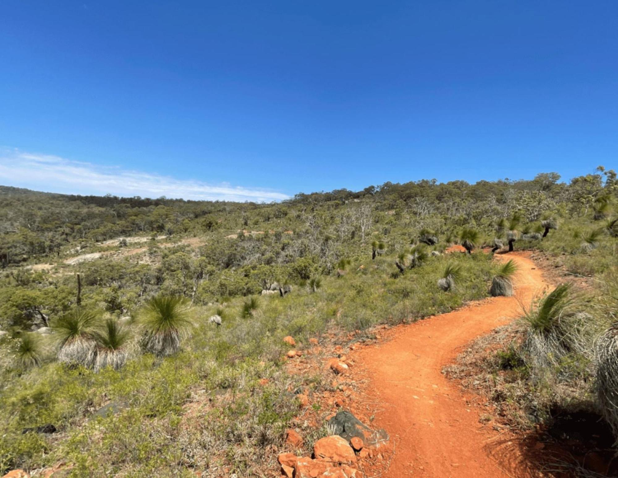 Mahogany Inn And Distillery Mahogany Creek Esterno foto